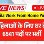 Mahila Work From Home Yojana